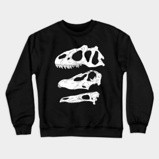 Allosaurus Diplodocus Stegosaurus fossil skulls Crewneck Sweatshirt